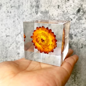 Resin art Epoxy resin decor Straw Chrysanthemum Straw flower Handmade Resin cube paperweight Christmas gifts Lover gifts