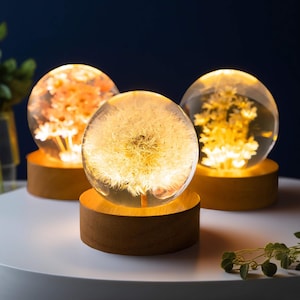 Resin Crystal Ball Night Light, Preserved Flower Art Decor Lamp, Home Decor, Housewarming Gift, Wedding Anniversary Gift, Mother's Day Gift