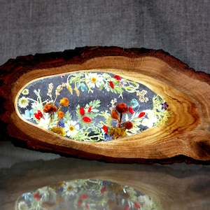 Night light in an oak cut with mushrooms, dogwood berries, blue flowers, grass, moss and herbs filled with epoxy resin, Home Decor Lighting